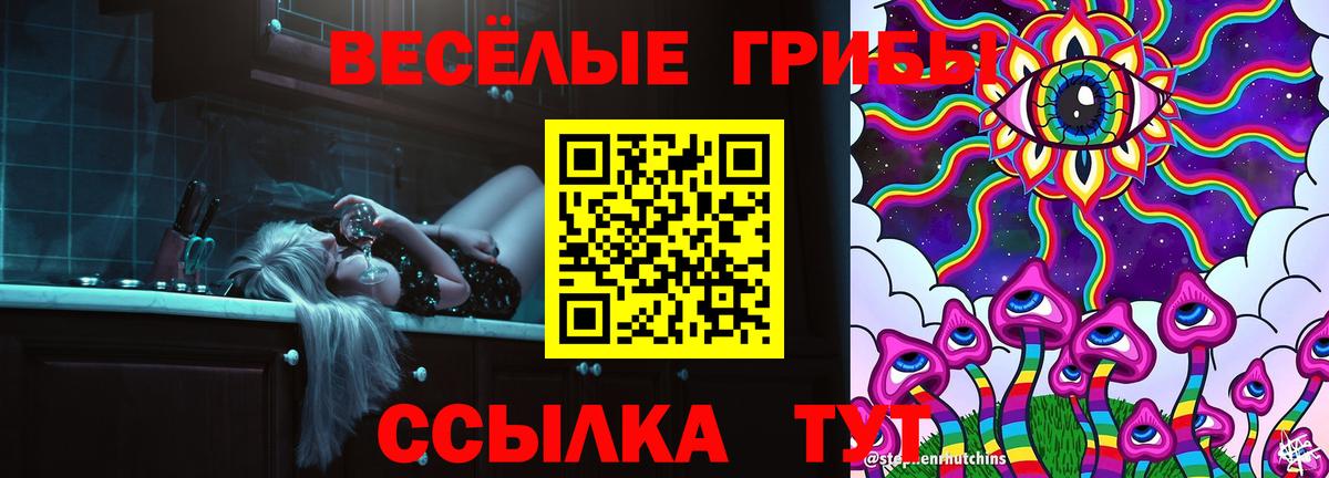 Кстово  Галлюциногенные грибы Psilocybe  Вход с VPN  Псилоцибиновые грибы мухоморы 